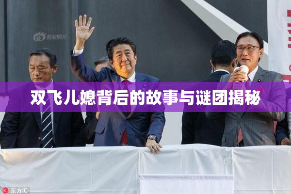 双飞儿媳背后的故事与谜团揭秘