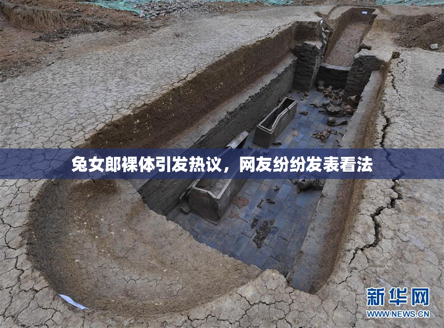 兔女郎裸体引发热议，网友纷纷发表看法