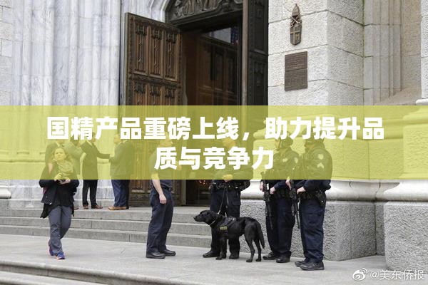 国精产品重磅上线，助力提升品质与竞争力