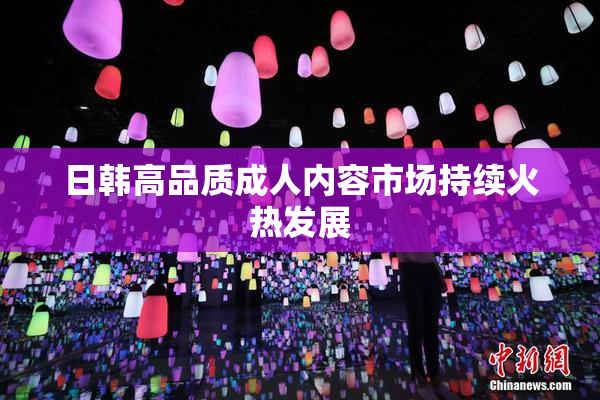 日韩高品质成人内容市场持续火热发展