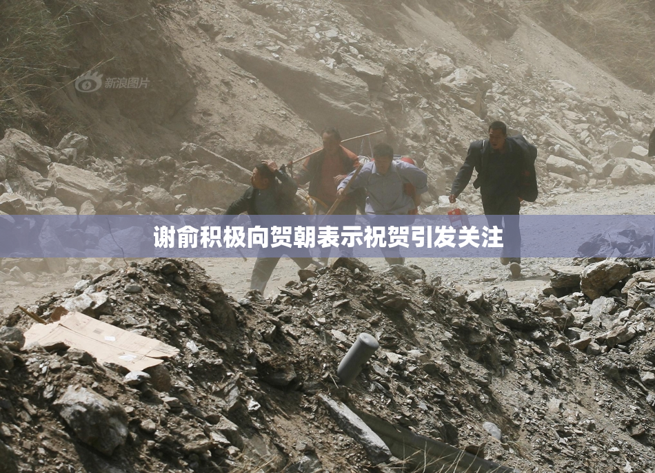 谢俞积极向贺朝表示祝贺引发关注