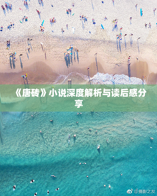 《唐砖》小说深度解析与读后感分享