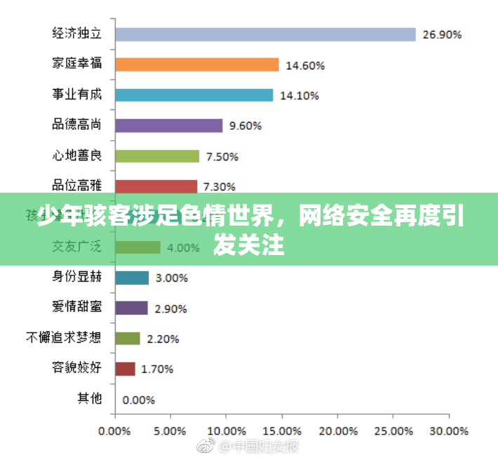少年骇客涉足色情世界，网络安全再度引发关注
