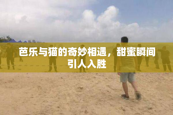 芭乐与猫的奇妙相遇，甜蜜瞬间引人入胜