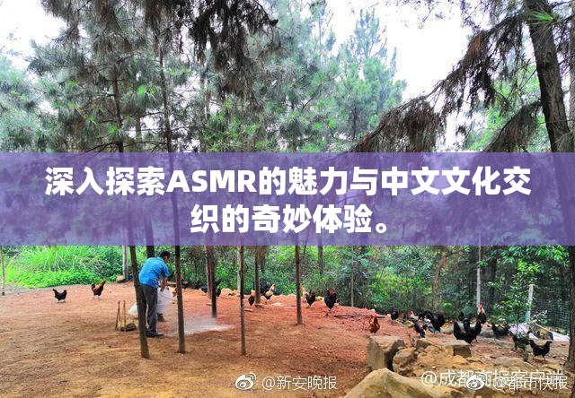 深入探索ASMR的魅力与中文文化交织的奇妙体验。
