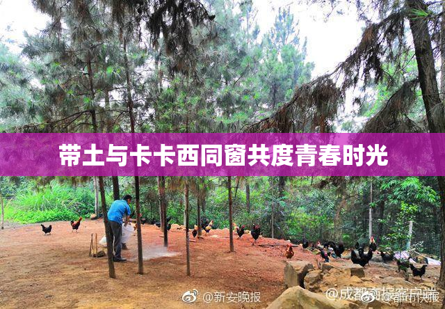 带土与卡卡西同窗共度青春时光