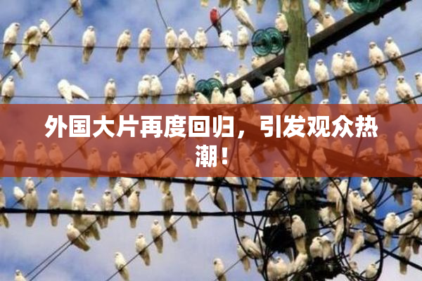 外国大片再度回归，引发观众热潮！