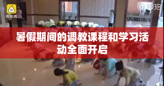 暑假期间的调教课程和学习活动全面开启
