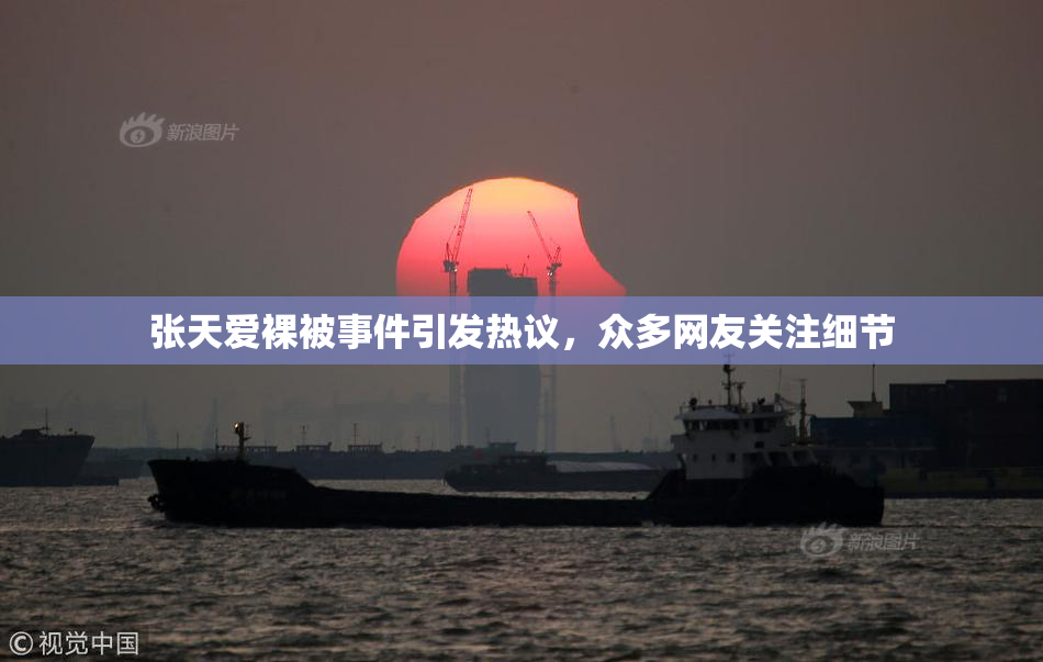 张天爱裸被事件引发热议，众多网友关注细节