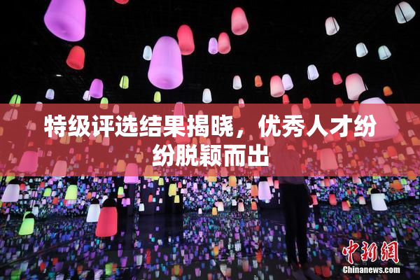 特级评选结果揭晓，优秀人才纷纷脱颖而出