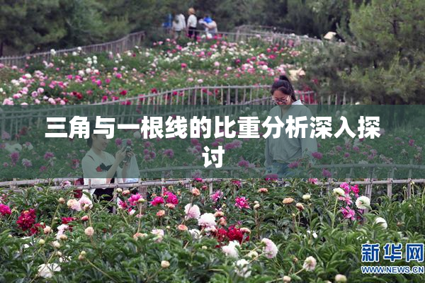 三角与一根线的比重分析深入探讨