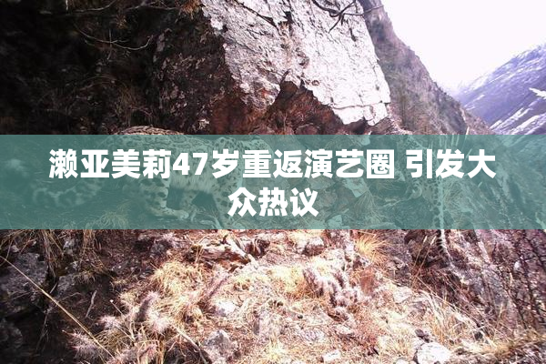 濑亚美莉47岁重返演艺圈 引发大众热议