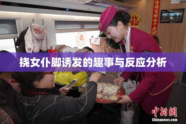 挠女仆脚诱发的趣事与反应分析