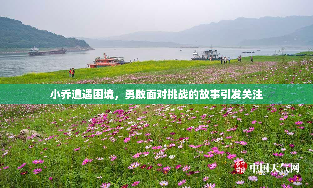小乔遭遇困境，勇敢面对挑战的故事引发关注