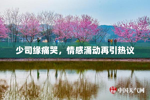 少司缘痛哭，情感涌动再引热议