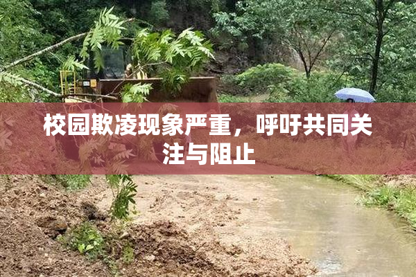 校园欺凌现象严重，呼吁共同关注与阻止