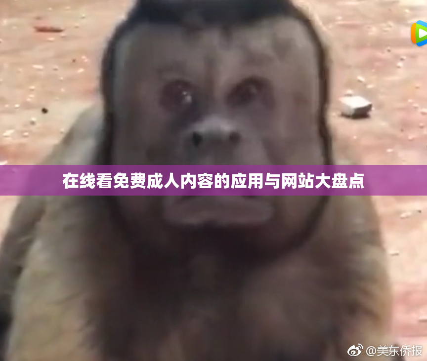 在线看免费成人内容的应用与网站大盘点