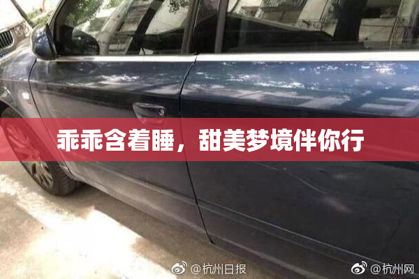 乖乖含着睡，甜美梦境伴你行