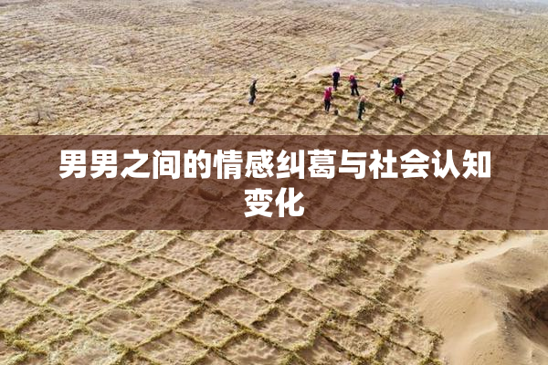 男男之间的情感纠葛与社会认知变化