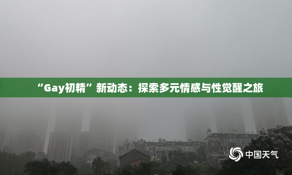 “Gay初精”新动态：探索多元情感与性觉醒之旅