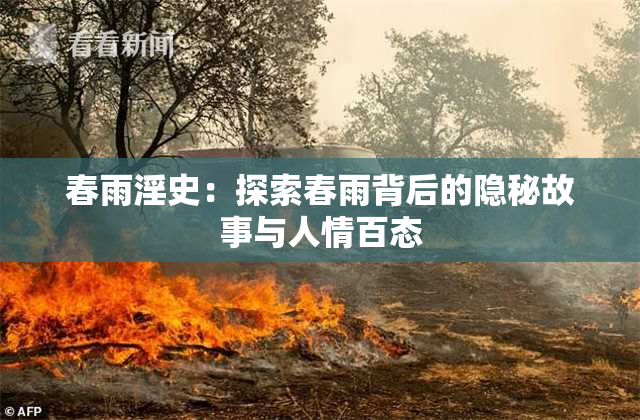春雨淫史：探索春雨背后的隐秘故事与人情百态