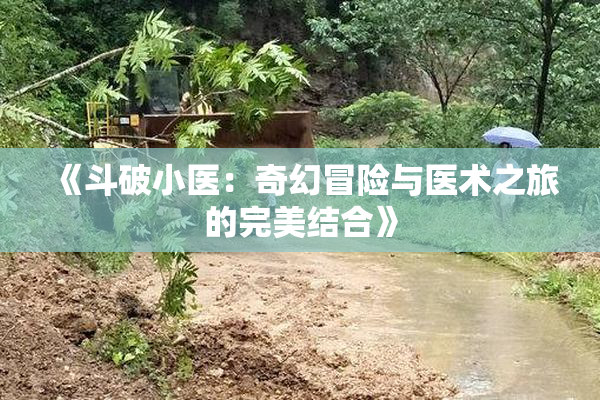 《斗破小医：奇幻冒险与医术之旅的完美结合》