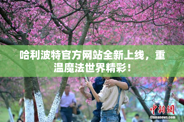 哈利波特官方网站全新上线，重温魔法世界精彩！