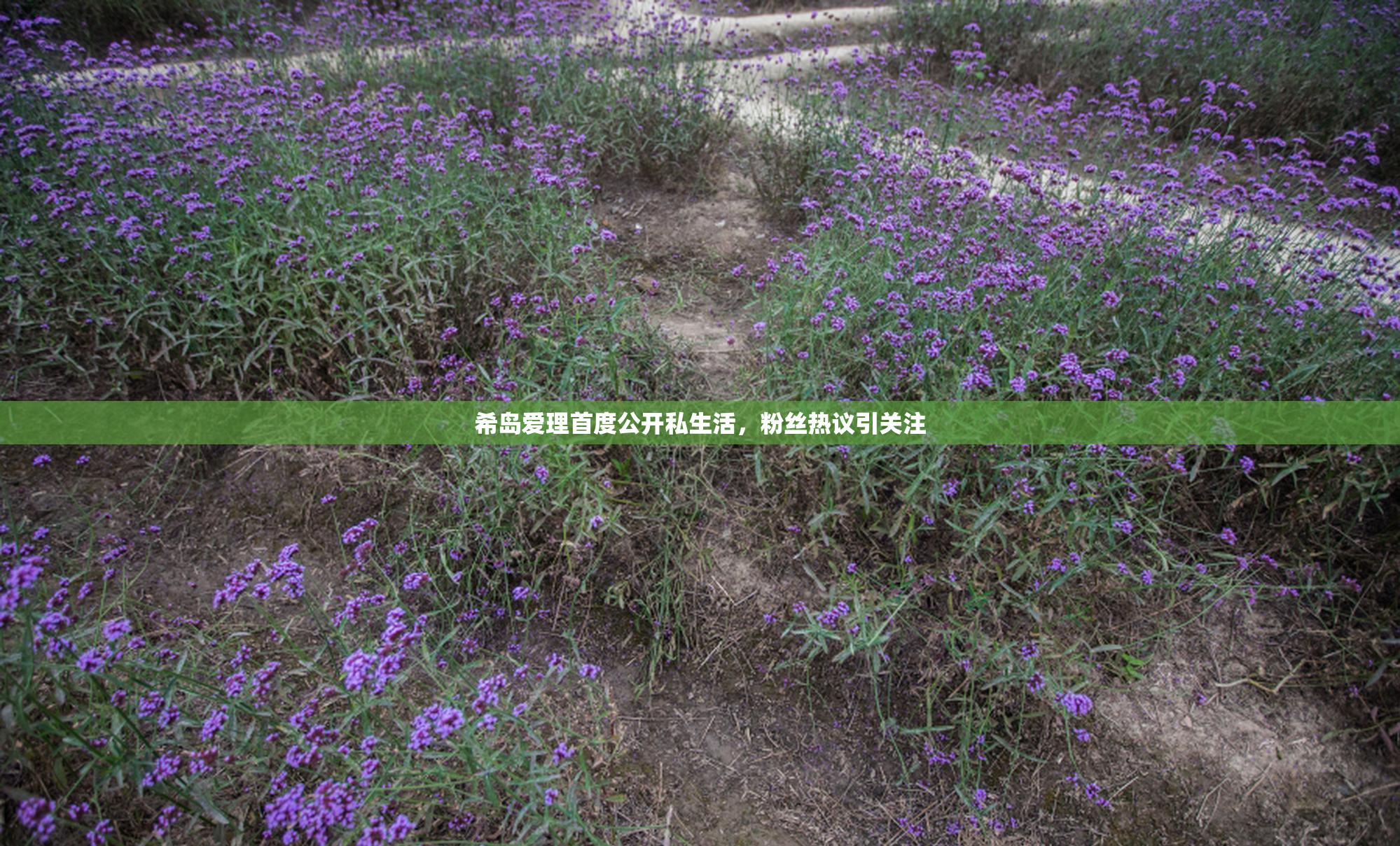 希岛爱理首度公开私生活，粉丝热议引关注