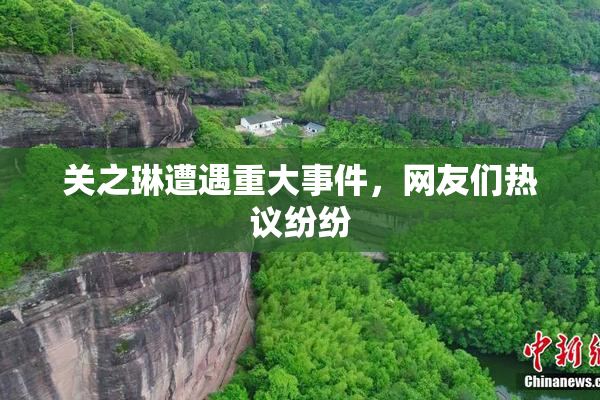 关之琳遭遇重大事件，网友们热议纷纷