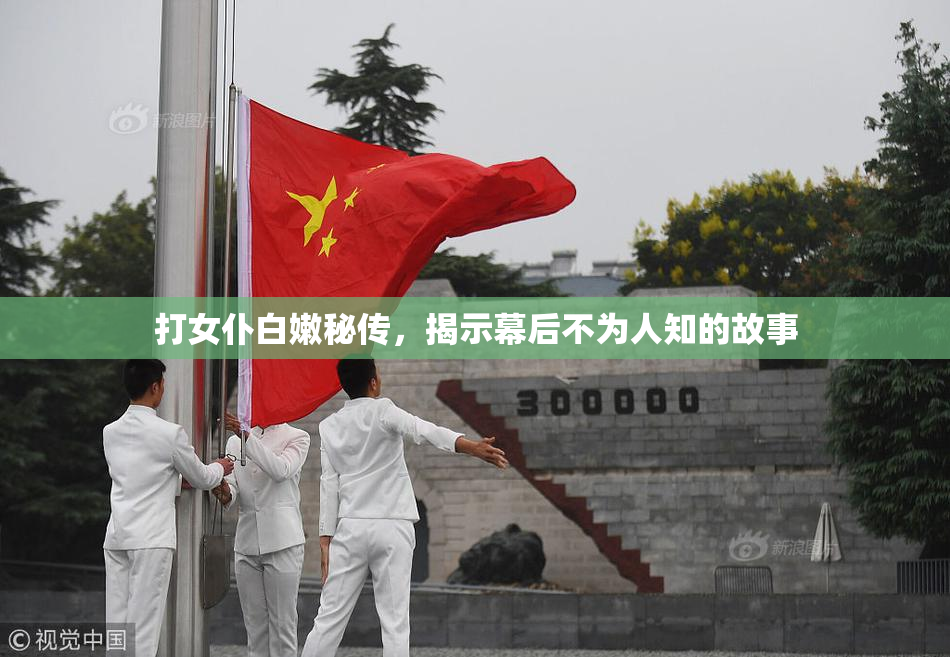 打女仆白嫩秘传，揭示幕后不为人知的故事
