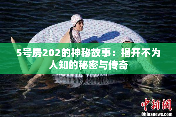 5号房202的神秘故事：揭开不为人知的秘密与传奇