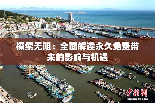 探索无阻：全面解读永久免费带来的影响与机遇