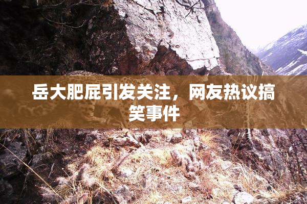 岳大肥屁引发关注，网友热议搞笑事件