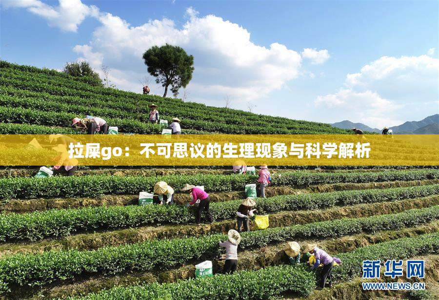 拉屎go：不可思议的生理现象与科学解析