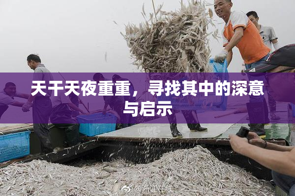 天干天夜重重，寻找其中的深意与启示