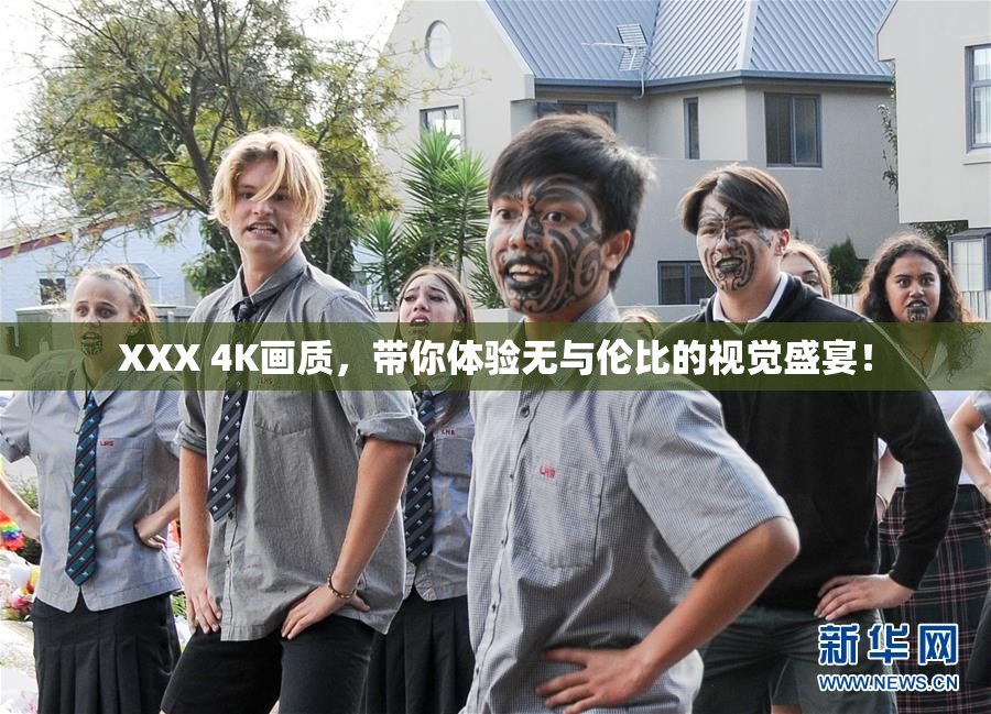 XXX 4K画质，带你体验无与伦比的视觉盛宴！