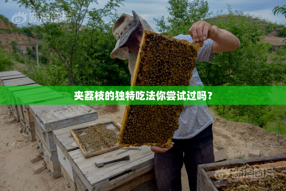 夹荔枝的独特吃法你尝试过吗？