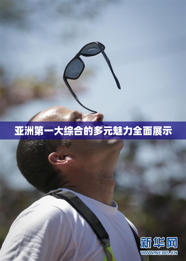 亚洲第一大综合的多元魅力全面展示