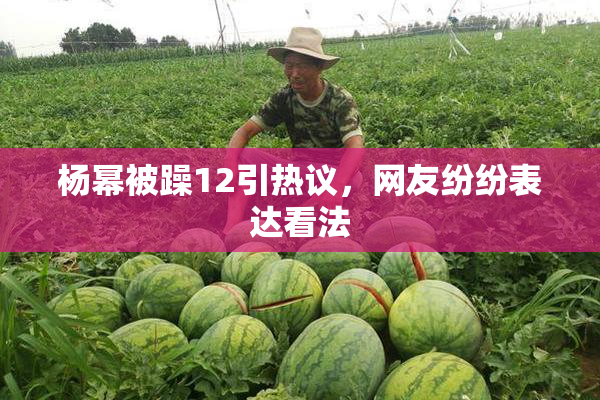 杨幂被躁12引热议，网友纷纷表达看法