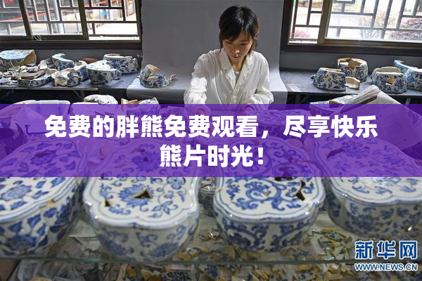 免费的胖熊免费观看，尽享快乐熊片时光！