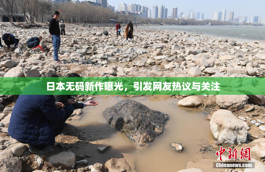 日本无码新作曝光，引发网友热议与关注