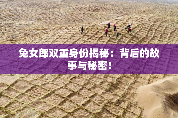 兔女郎双重身份揭秘：背后的故事与秘密！
