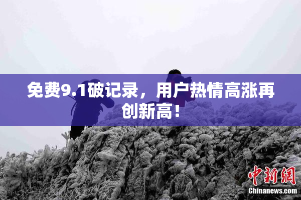 免费9.1破记录，用户热情高涨再创新高！