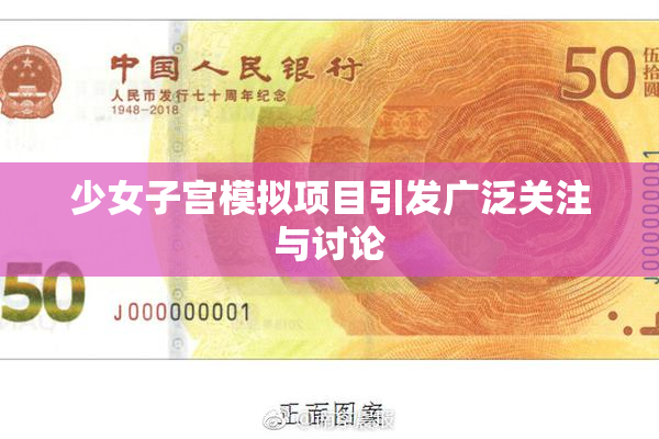 少女子宫模拟项目引发广泛关注与讨论