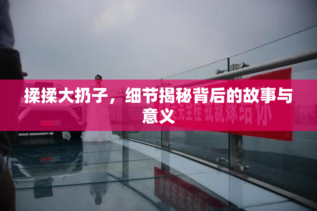 揉揉大扔子，细节揭秘背后的故事与意义