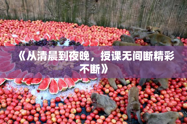 《从清晨到夜晚，授课无间断精彩不断》
