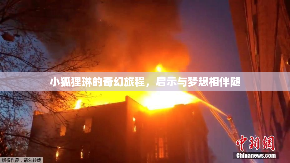 小狐狸琳的奇幻旅程，启示与梦想相伴随