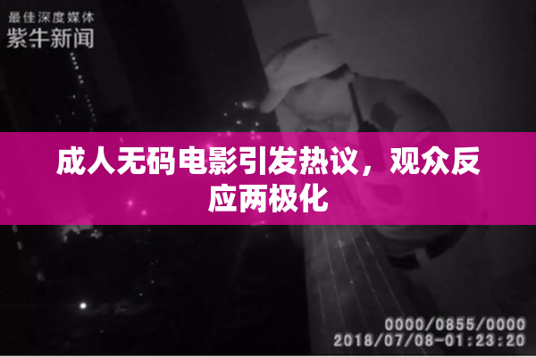 成人无码电影引发热议，观众反应两极化