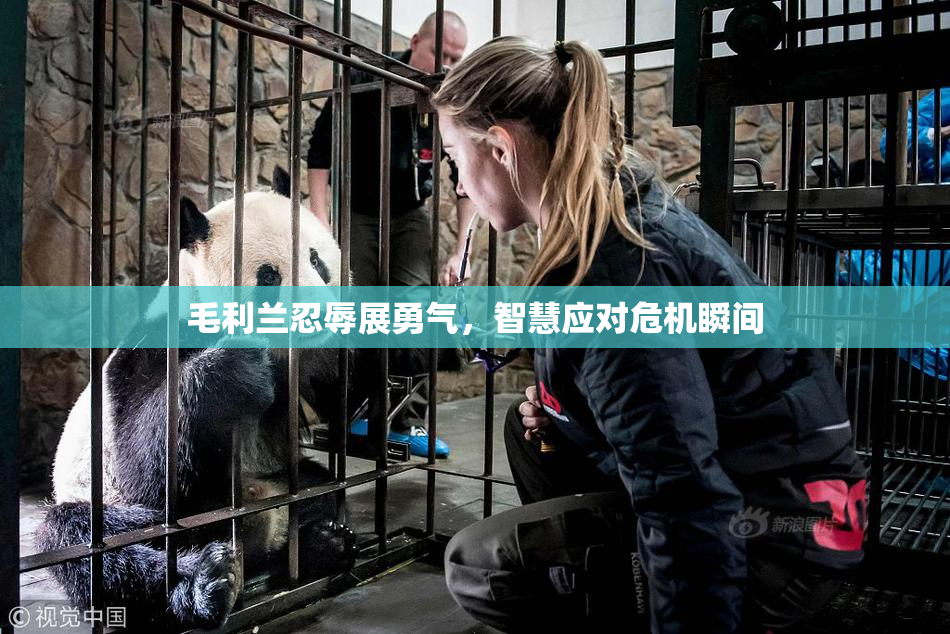 毛利兰忍辱展勇气，智慧应对危机瞬间