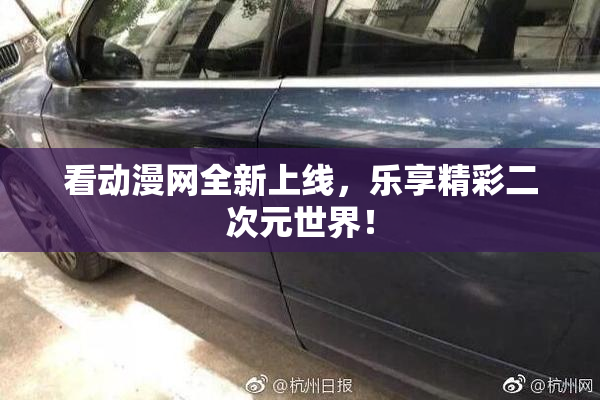 看动漫网全新上线，乐享精彩二次元世界！